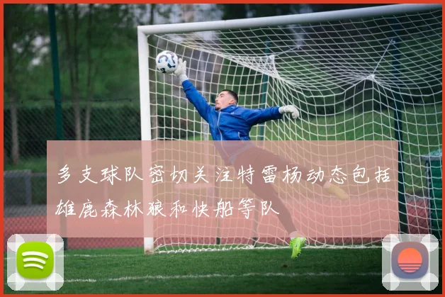 多支球队密切关注特雷杨动态包括雄鹿森林狼和快船等队